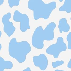 Meet your Posher, Kamila